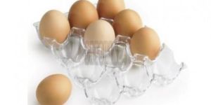 12 Eggs Rectangular PVC Blister Tray