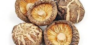 Dry Shiitake Mushroom