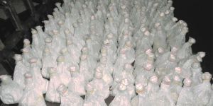 White Button Mushroom Spawn