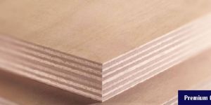 Gurjan Plywood