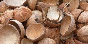 Coconut Shell