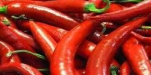 Red Chili