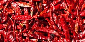 Red Chillies