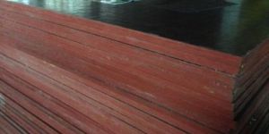 Shuttering Plywood