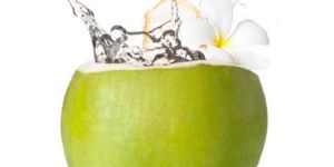 Tender Coconuts