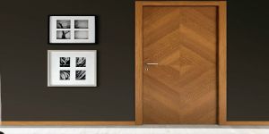 Veneer Doors