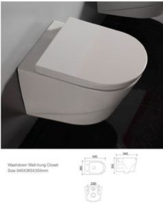 Wall Hung Toilet