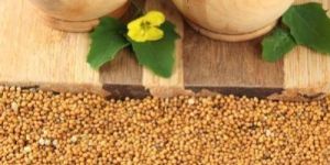 BLACK , WHITE AND YELLOW MUSTARD SEEDS