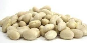 White Kidney Beans
