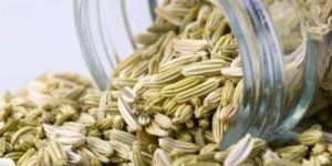 Ajwain Oil