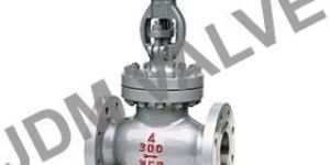 Globe Valve