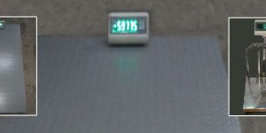 Industrial Platform Scale