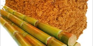 Jaggery Powder