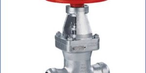 Pressure Seal Gate Valve