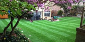 Artificial Lawns