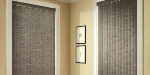 Vertical Blinds