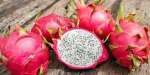 Dragon Fruit