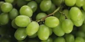 Grapes