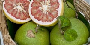 Pomelo Fruit