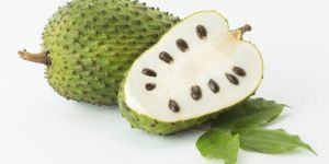 Soursop Fruit