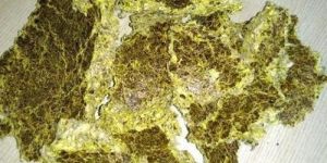 Cotton Seed Oil Cake