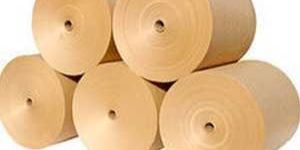 Absorbent Kraft Paper