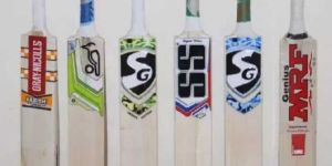 English Willow Cricket Bats