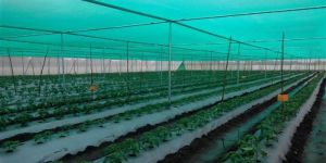 Agro Shed Net