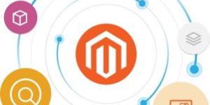 Magento Web Development