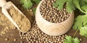 Dry Coriander Powder