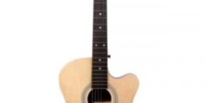 Acoustic Guitars