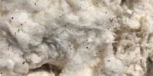 LYCRINE COTTON Waste