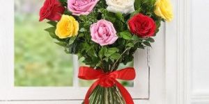 Bunch of Mixed Colored Roses