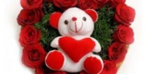 Roses with Soft Teddy