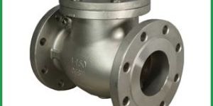 Swing Check Valve