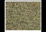 Cumin Seeds