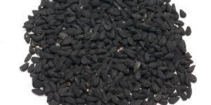 Black Seed Oil