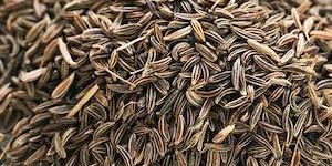 Cumin Oil
