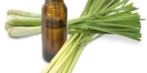 Lemongrass Oil