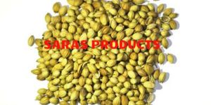 Whole Coriander Seed