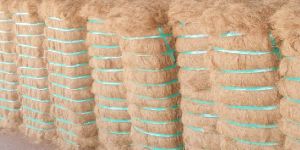 Coconut Fibre