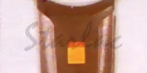 Illuminated Magnifier