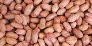 GROUNDNUT KERNELS (PURE JAVA)
