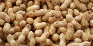 Peanuts