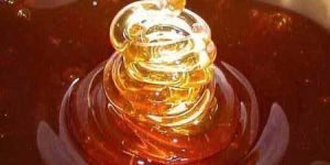 Light Amber Honey