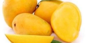 Alphonso Mango Pulp