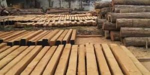 Nagpur Teak Wood Lumbers