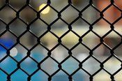 Chain Link Fence