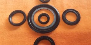 Oil Seal