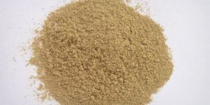 Fennel Powder